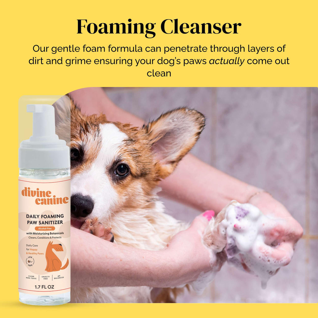 Divine Canine Summer Essentials Dog Care Kit Sunscreen Paw Balm