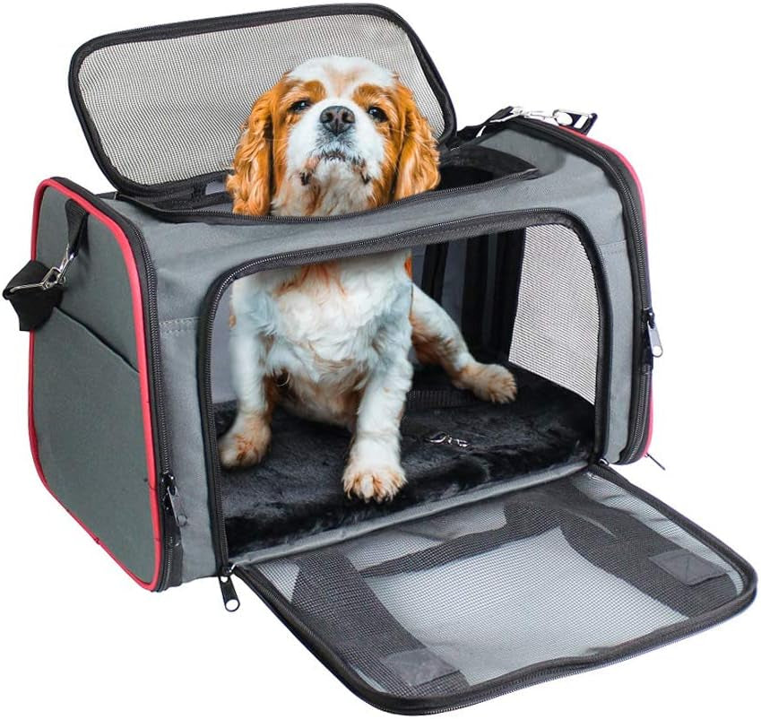 Soft-Sided Pet Carrier for Cats & Small Dogs, 22 lb, 19-Inch