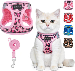 Pink Leopard