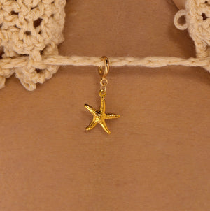 Starfish 0100