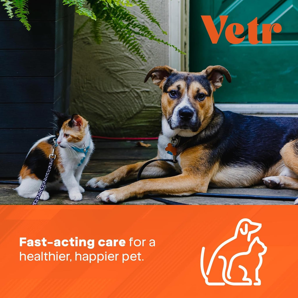 Vetr PraziMax Liquid Tapeworm Support for Dogs & Cats, 60 mL