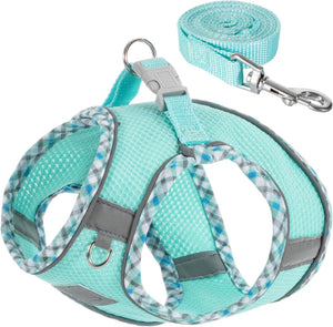 Blue-Green