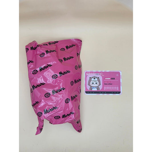 Matata Chaos Campus - Confirmed