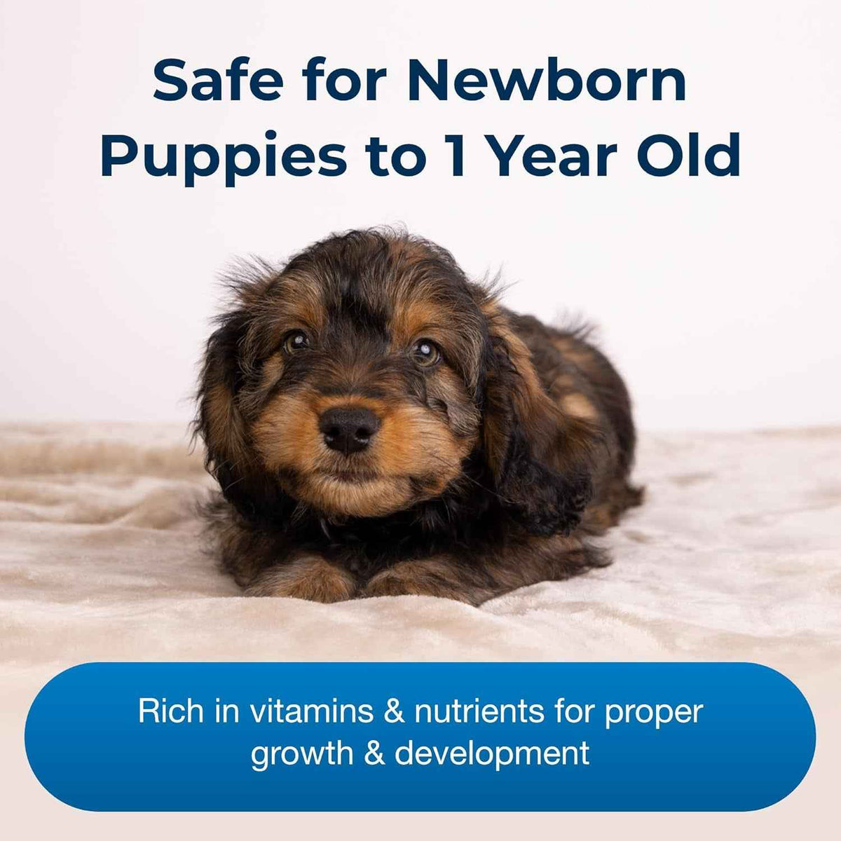 Puppy Milk Replacer 12oz Powder Prebiotics Probiotics Newborn Formula