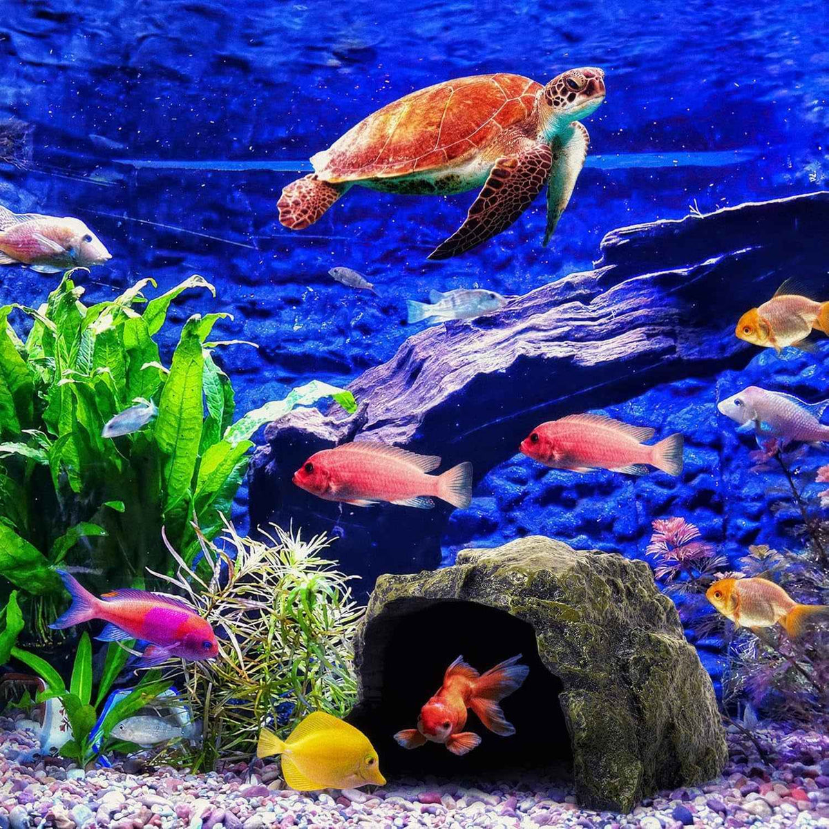 Reptile Rock Hide Cave Resin Habitat for Lizards & Turtles