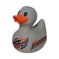 Akron Rubber Ducks Duck