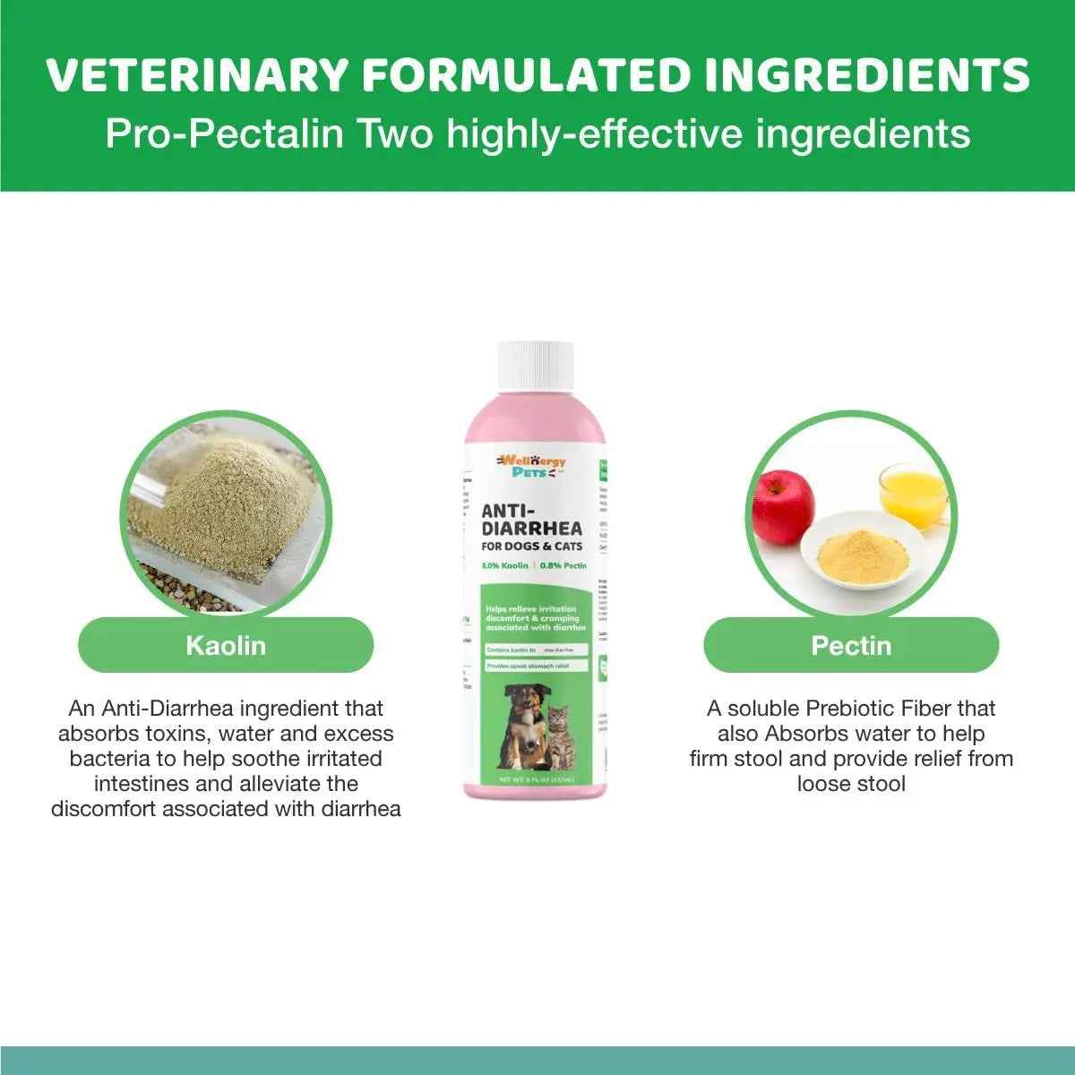 Anti Diarrhea Liquid for Dogs with Kaolin, 4 Oz