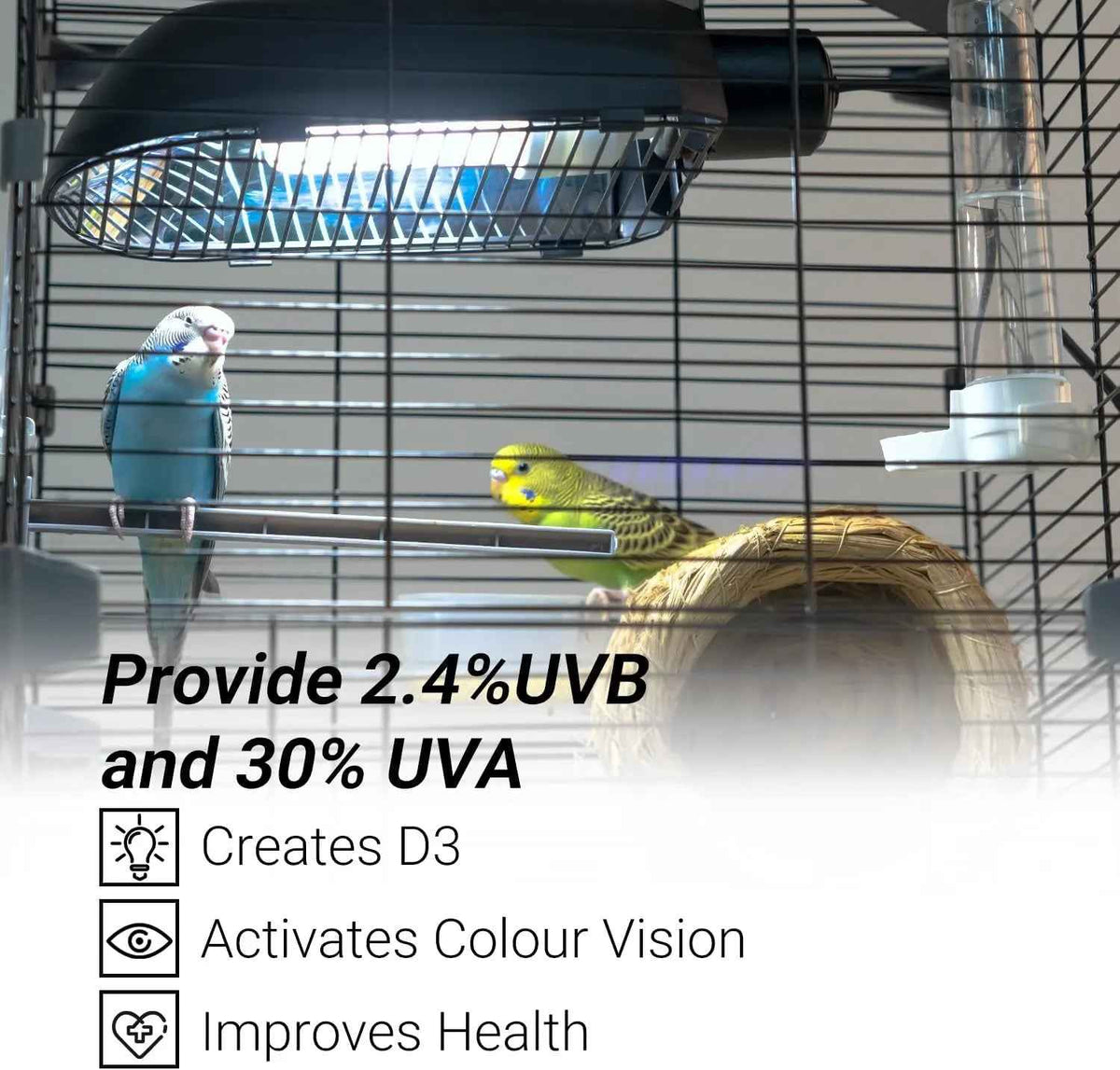 Bird Cage UVA/UVB Light Fixture Kit – 20W