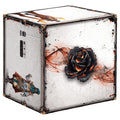 Black Rose Wars