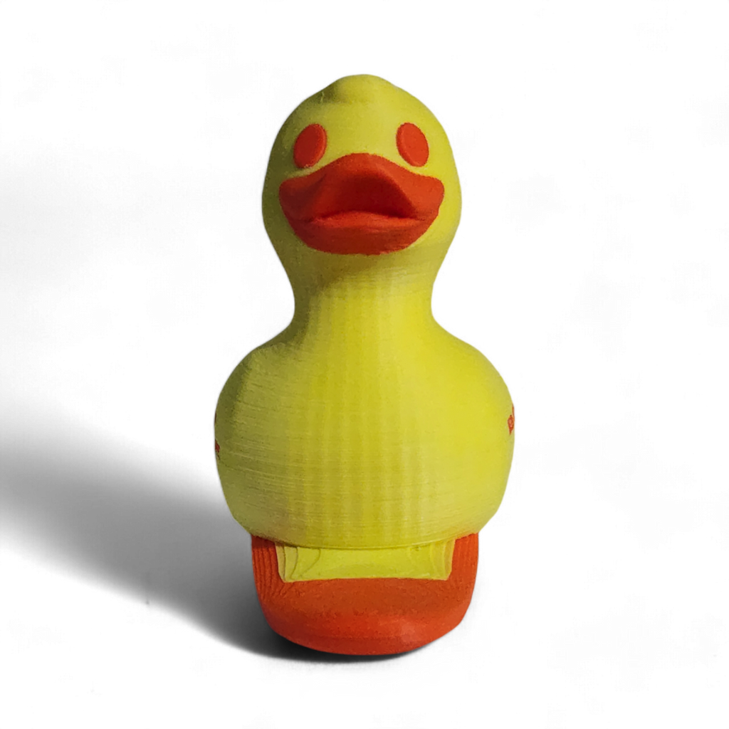 Board Life Duck