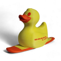 Board Life Duck