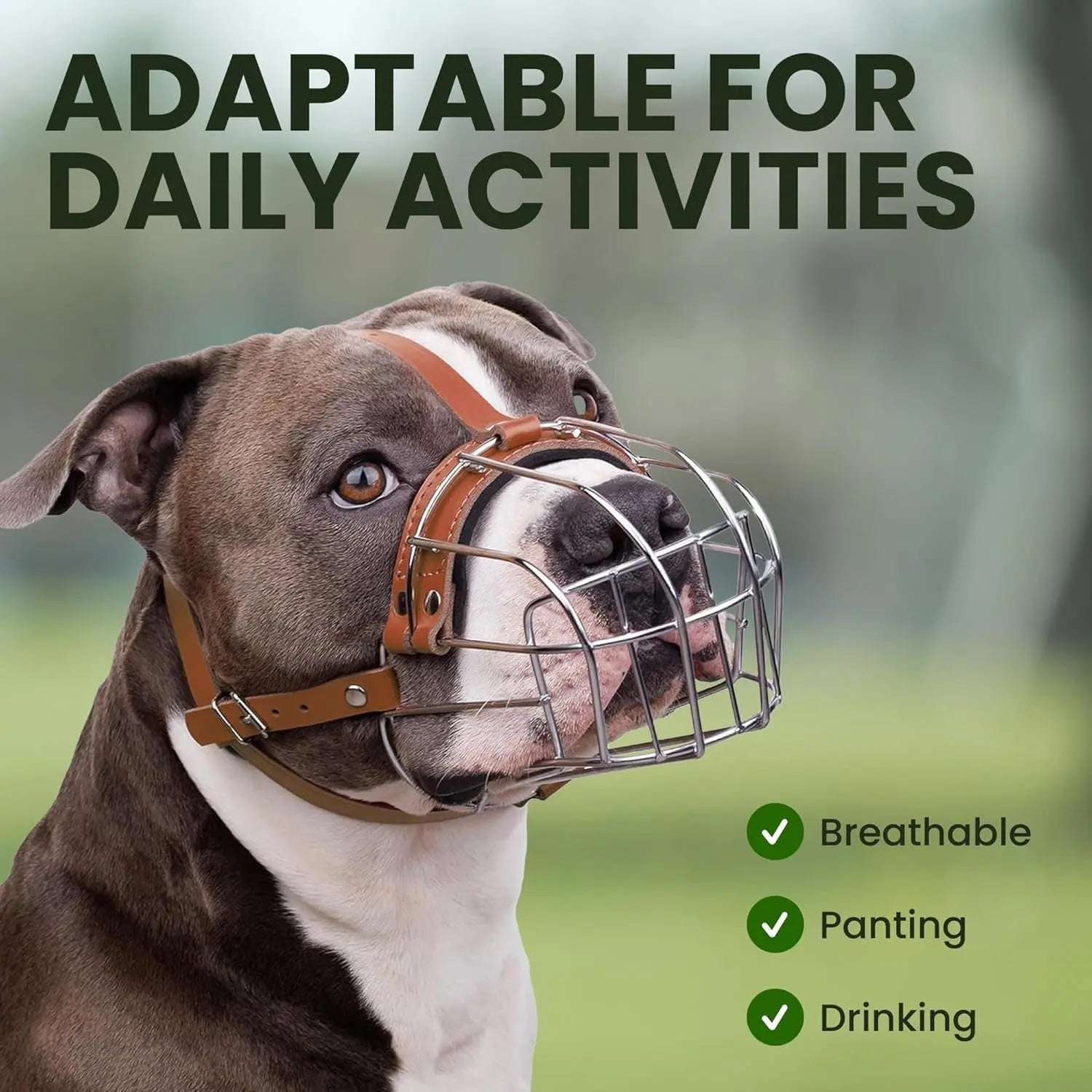 Metal Basket Dog Muzzle – Breathable, Leather Straps