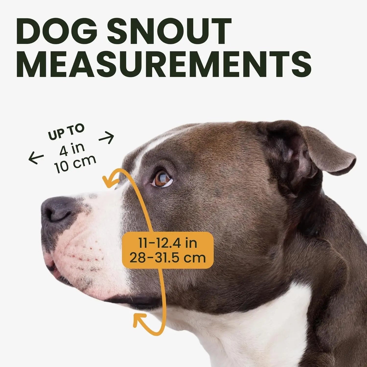 Metal Basket Dog Muzzle – Breathable, Leather Straps