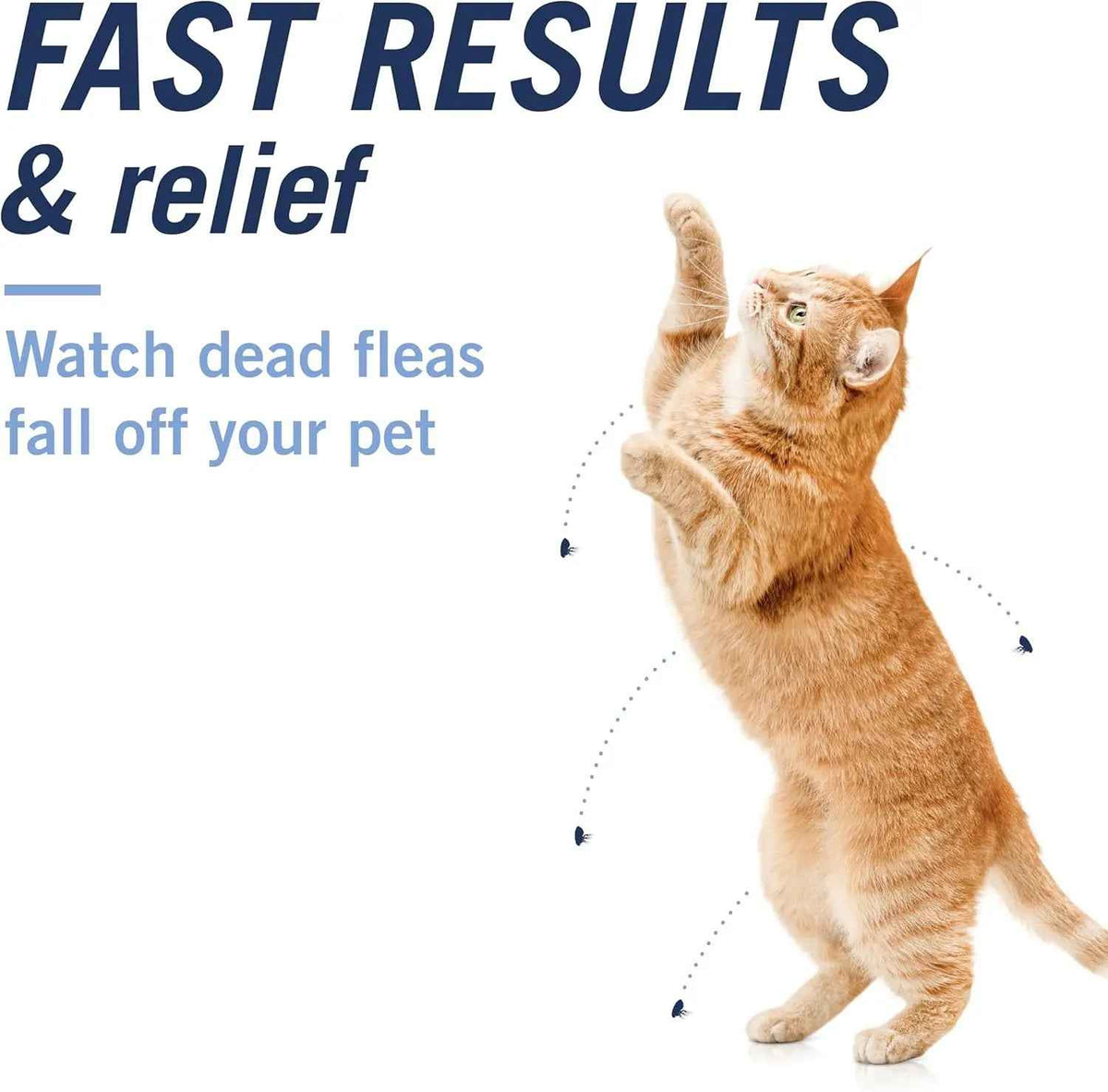 Oral Flea Tablets for Cats 2–25 lbs – 6 Doses