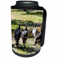 3dRose Jos Fauxtographee- Thanksgiving Turkeys - Four Turkeys awaiting there fate for Thanksgiving Day - Can Cooler Bottle Wrap (cc_266359)