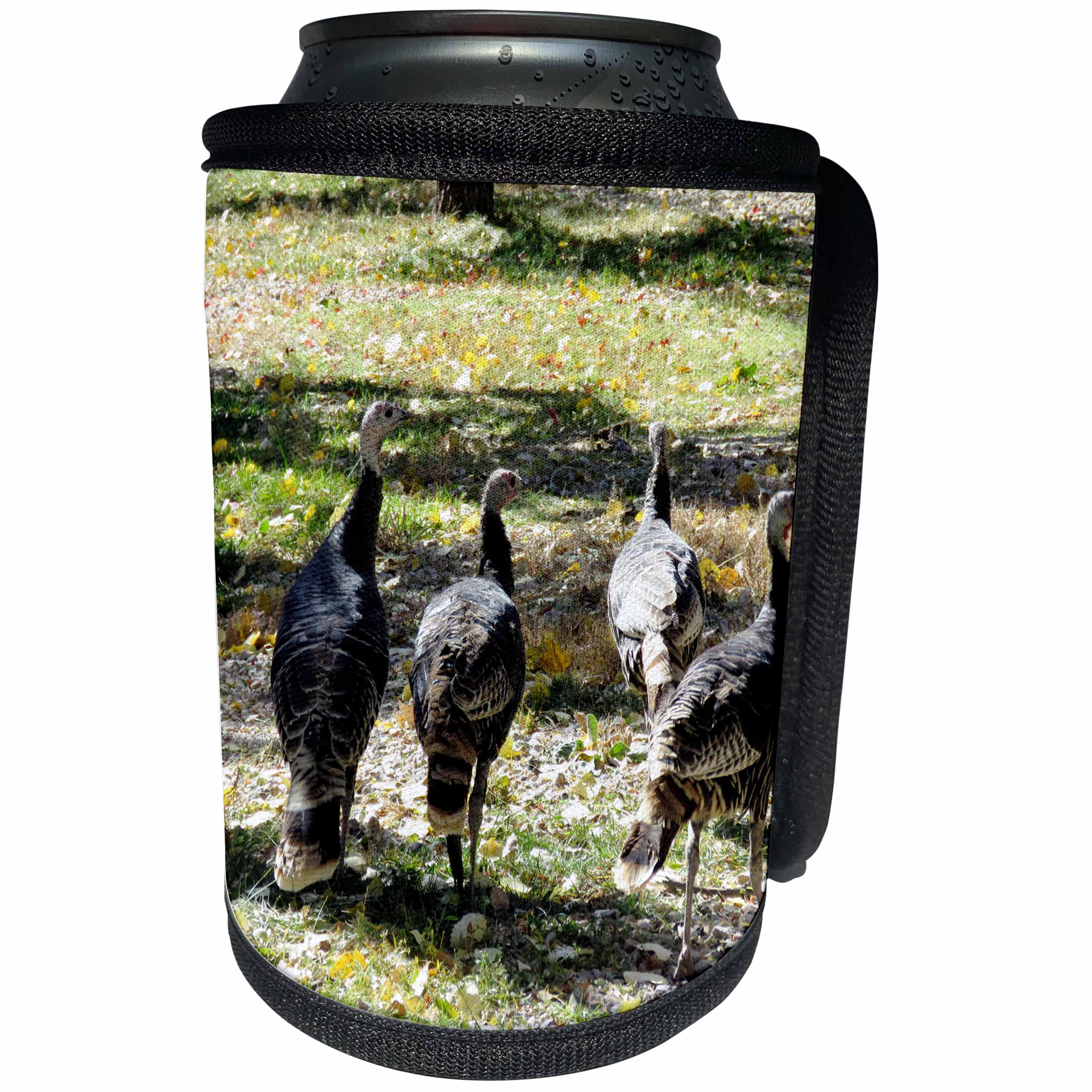 3dRose Jos Fauxtographee- Thanksgiving Turkeys - Four Turkeys awaiting there fate for Thanksgiving Day - Can Cooler Bottle Wrap (cc_266359)