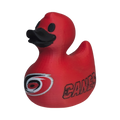 Carolina Hurricanes Duck