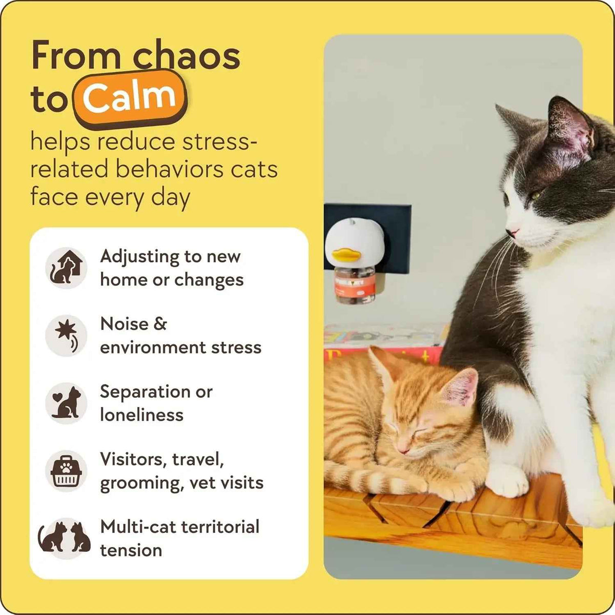Cat Calming Pheromone Diffuser, 60-Day Anxiety Relief