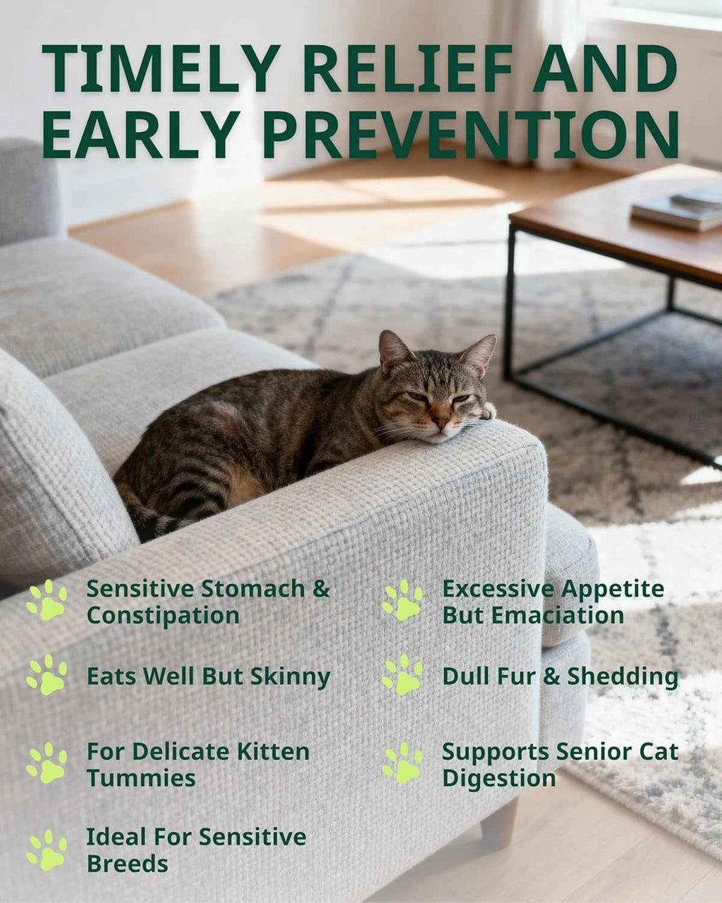 Cat Constipation Relief Drops Natural Digestive Stool Softener 60ml