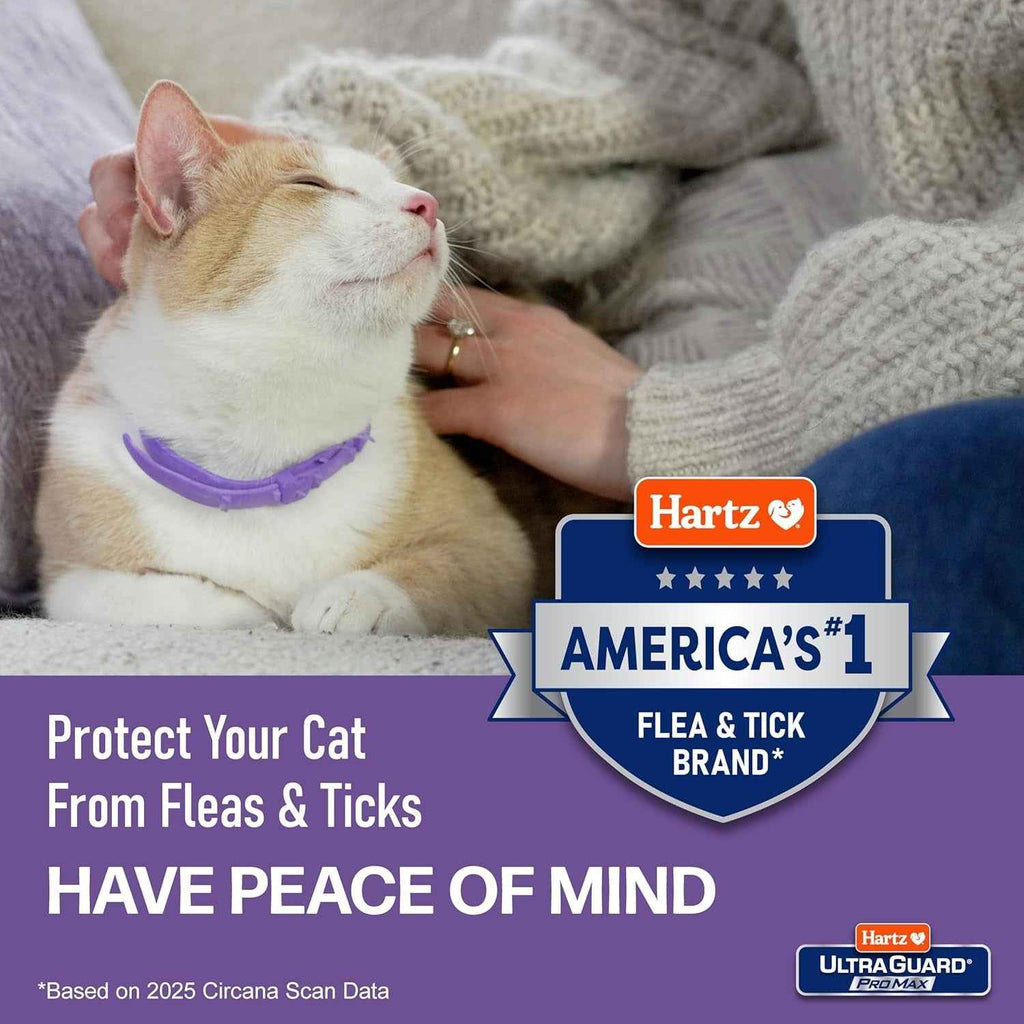 Cat Flea Tick Collar 2 Pack Breakaway Adjustable 14 Month Protection