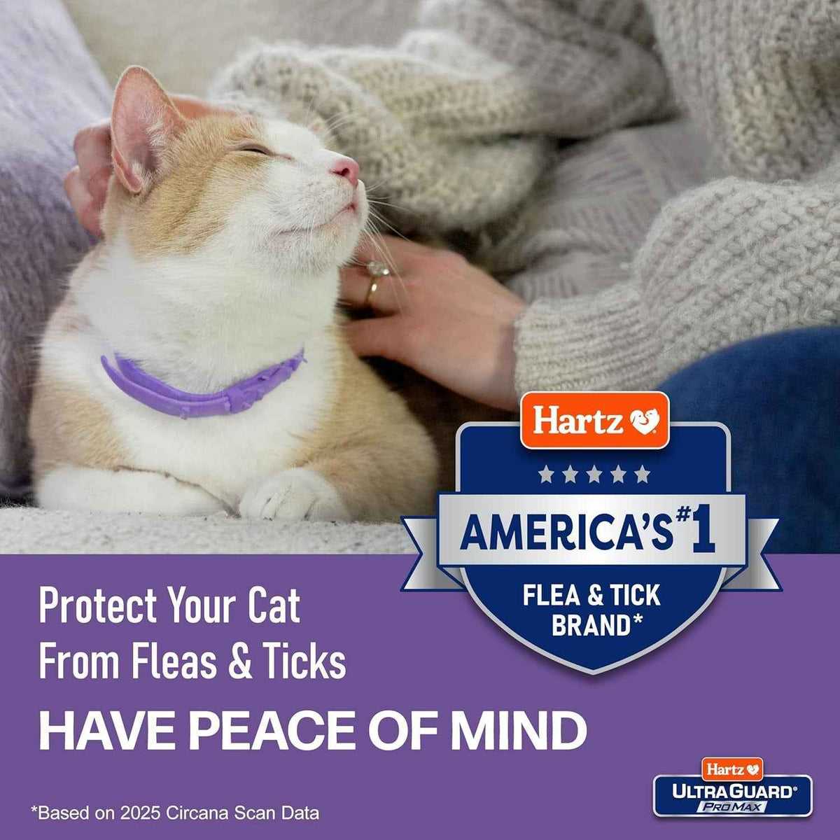 Cat Flea Tick Collar 2 Pack Breakaway Adjustable 14 Month Protection
