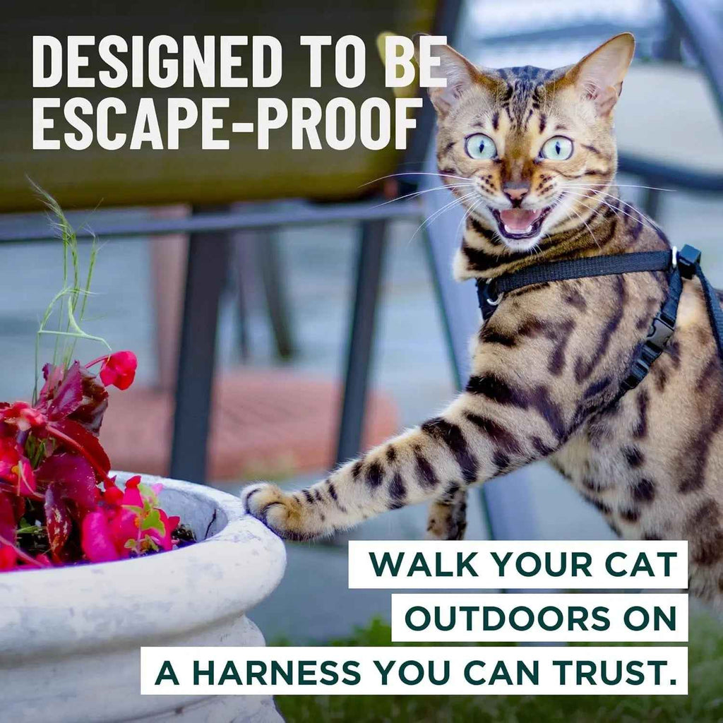 Cat Harness Escape Proof Adjustable Leash Set Reflective Walking Vest