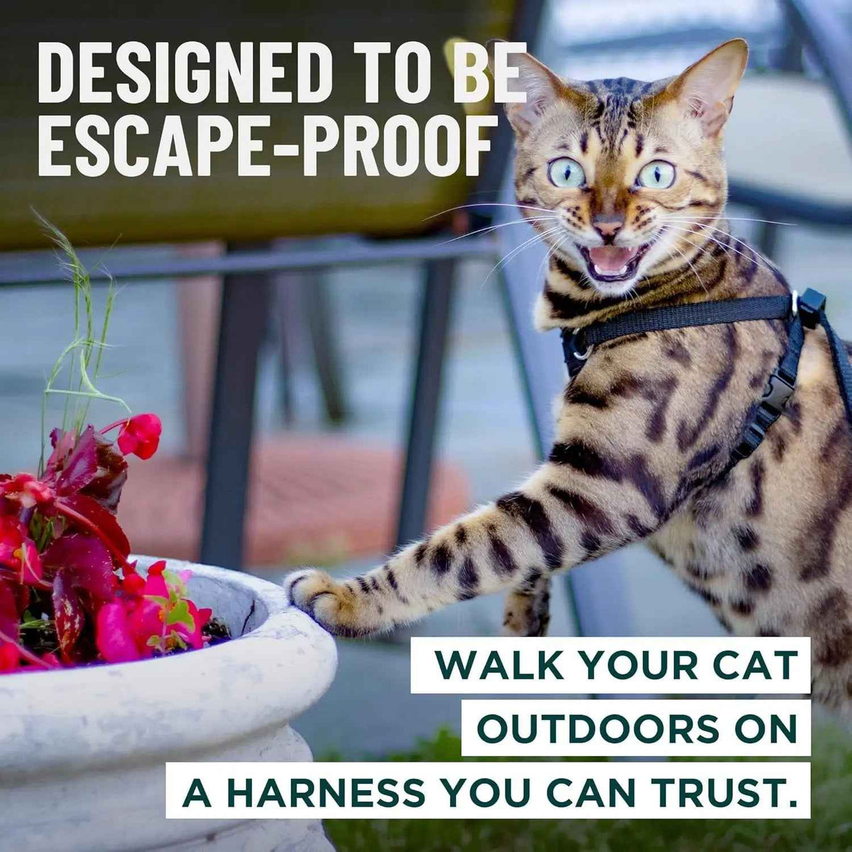 Cat Harness Escape Proof Adjustable Leash Set Reflective Walking Vest