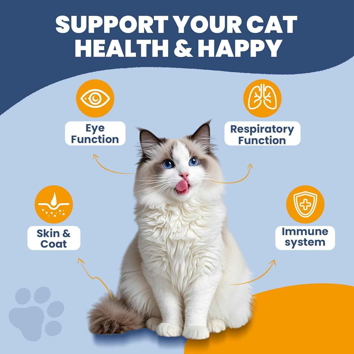 Cat L-Lysine Paste with Omega 3, Immune & Eye Support, 60ml