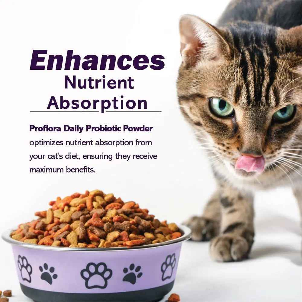 Cat Probiotics Powder Digestive & Immune Support 30 Packets