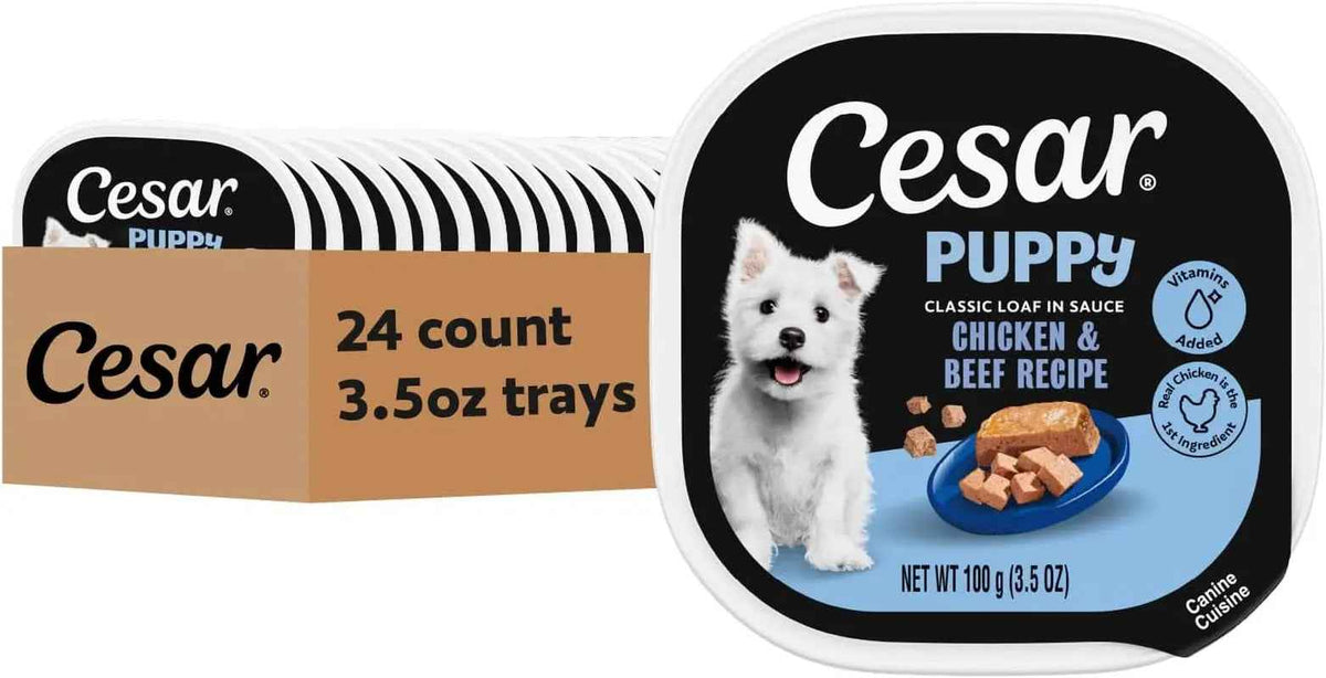 Cesar Puppy Classic Wet Dog Food, Chicken & Beef, 24ct, 3.5oz
