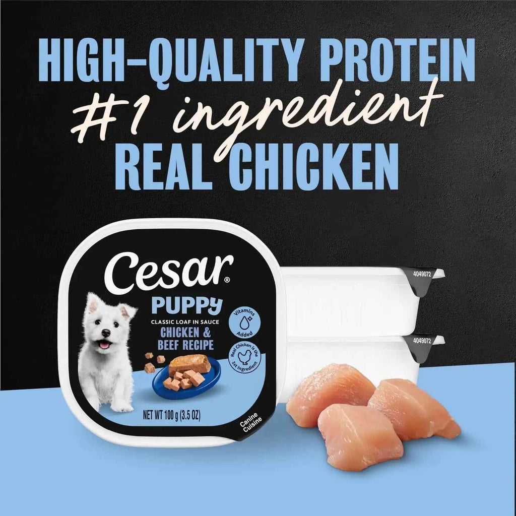 Cesar Puppy Classic Wet Dog Food, Chicken & Beef, 24ct, 3.5oz