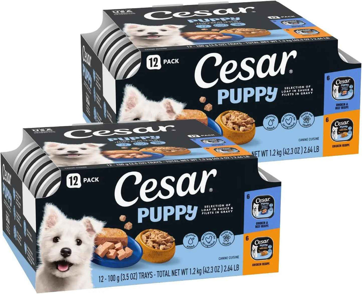 Cesar Puppy Classic Wet Dog Food, Chicken & Beef, 24ct, 3.5oz