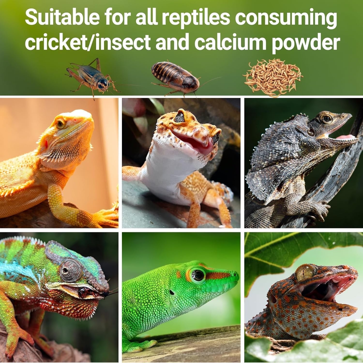 Cricket Keeper Reptile Calcium Powder Mixer Feeder Dispenser Gecko Lizard