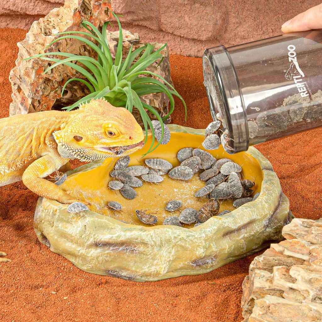 Cricket Keeper Reptile Calcium Powder Mixer Feeder Dispenser Gecko Lizard