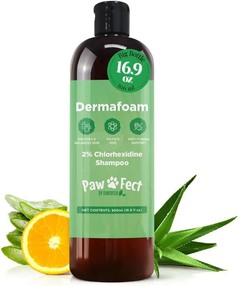 Dermafoam Chlorhexidine Dog Shampoo for Itch Allergies Hot Spots 16.9oz