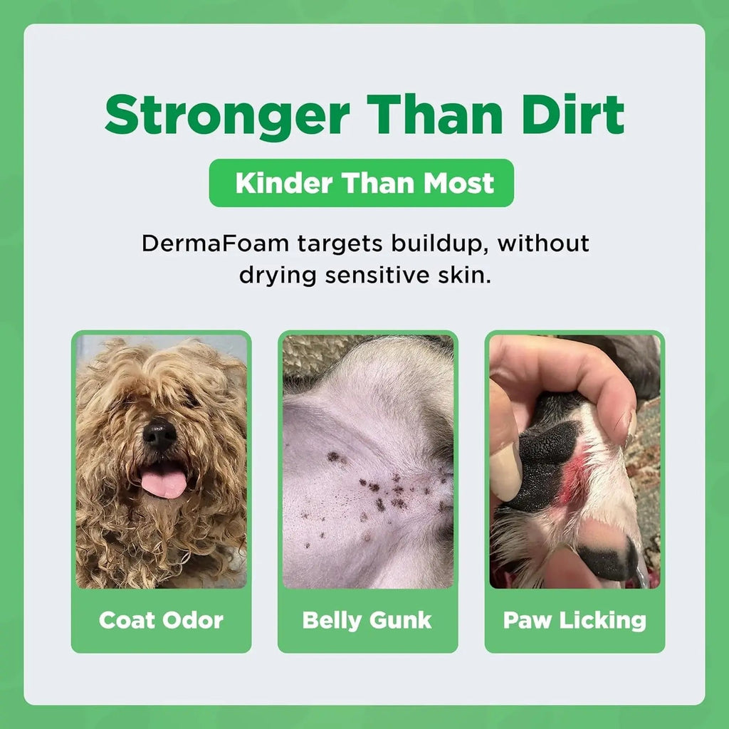 Dermafoam Chlorhexidine Dog Shampoo for Itch Allergies Hot Spots 16.9oz