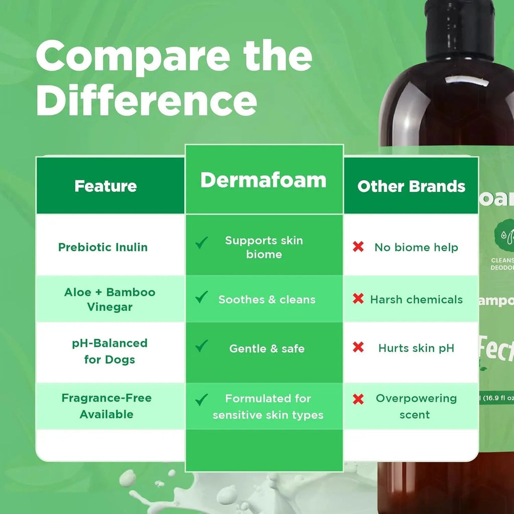 Dermafoam Chlorhexidine Dog Shampoo for Itch Allergies Hot Spots 16.9oz