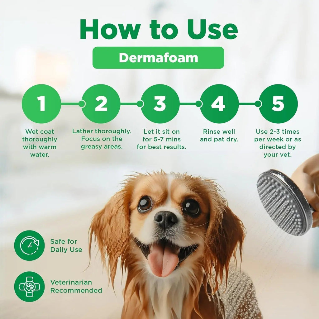 Dermafoam Chlorhexidine Dog Shampoo for Itch Allergies Hot Spots 16.9oz