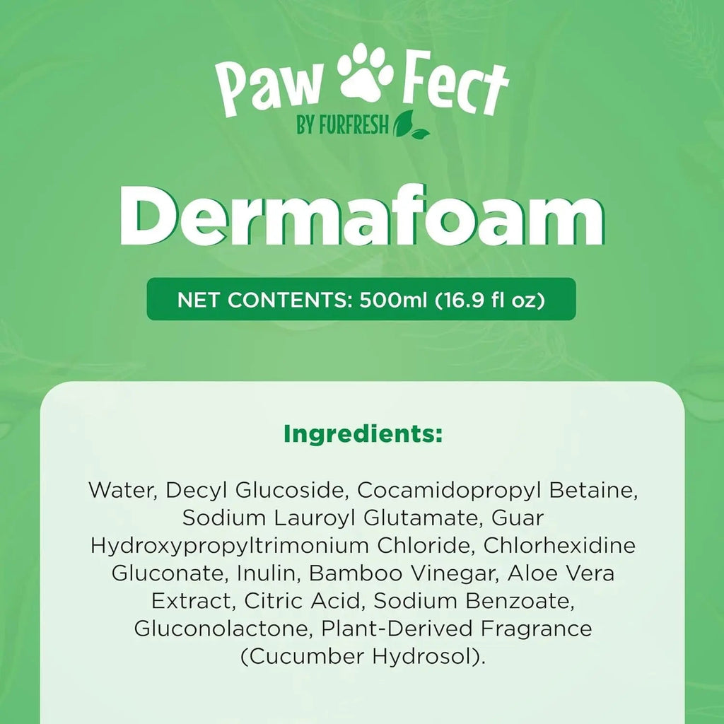 Dermafoam Chlorhexidine Dog Shampoo for Itch Allergies Hot Spots 16.9oz