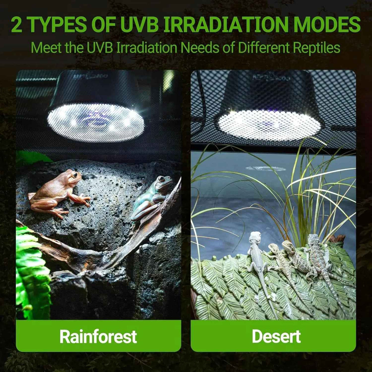Dimmable UVB Reptile Light LED UVA UVB Lamp Fixture