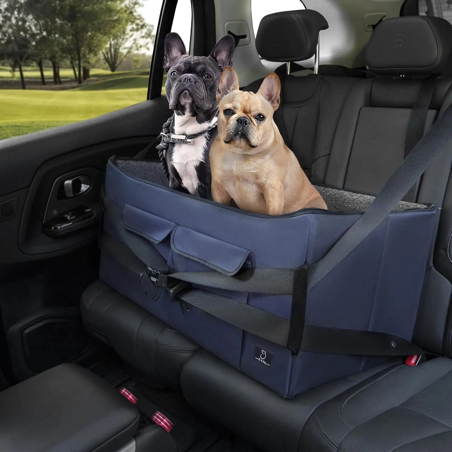 Dog Car Seat Booster with Safety Leash