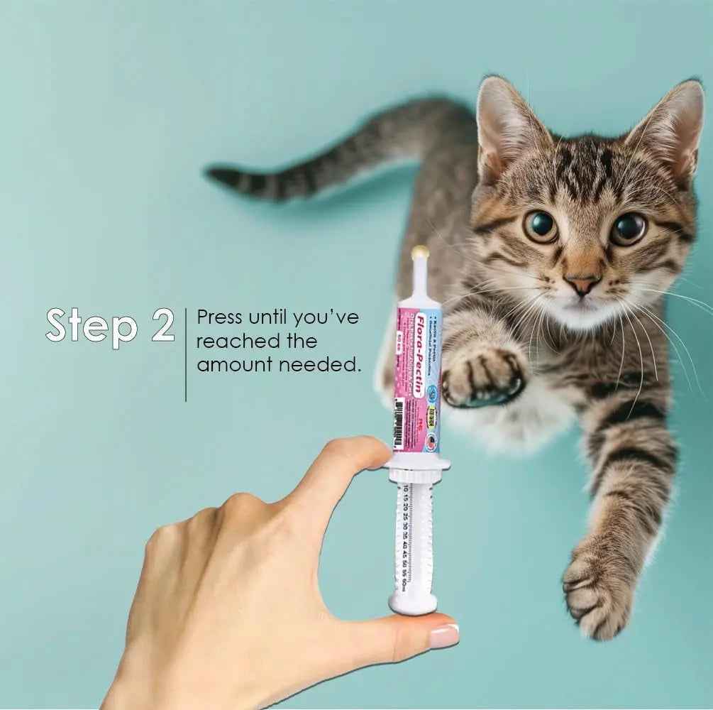 Dog & Cat Anti Diarrhea Paste Probiotic Kaolin Pectin