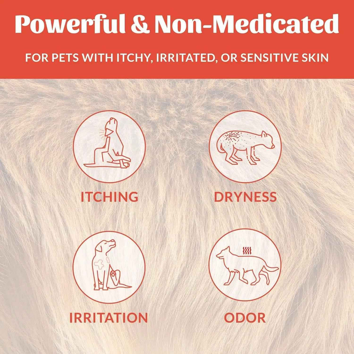 Probiotic Itch Relief Spray for Dogs & Cats Aloe Avocado