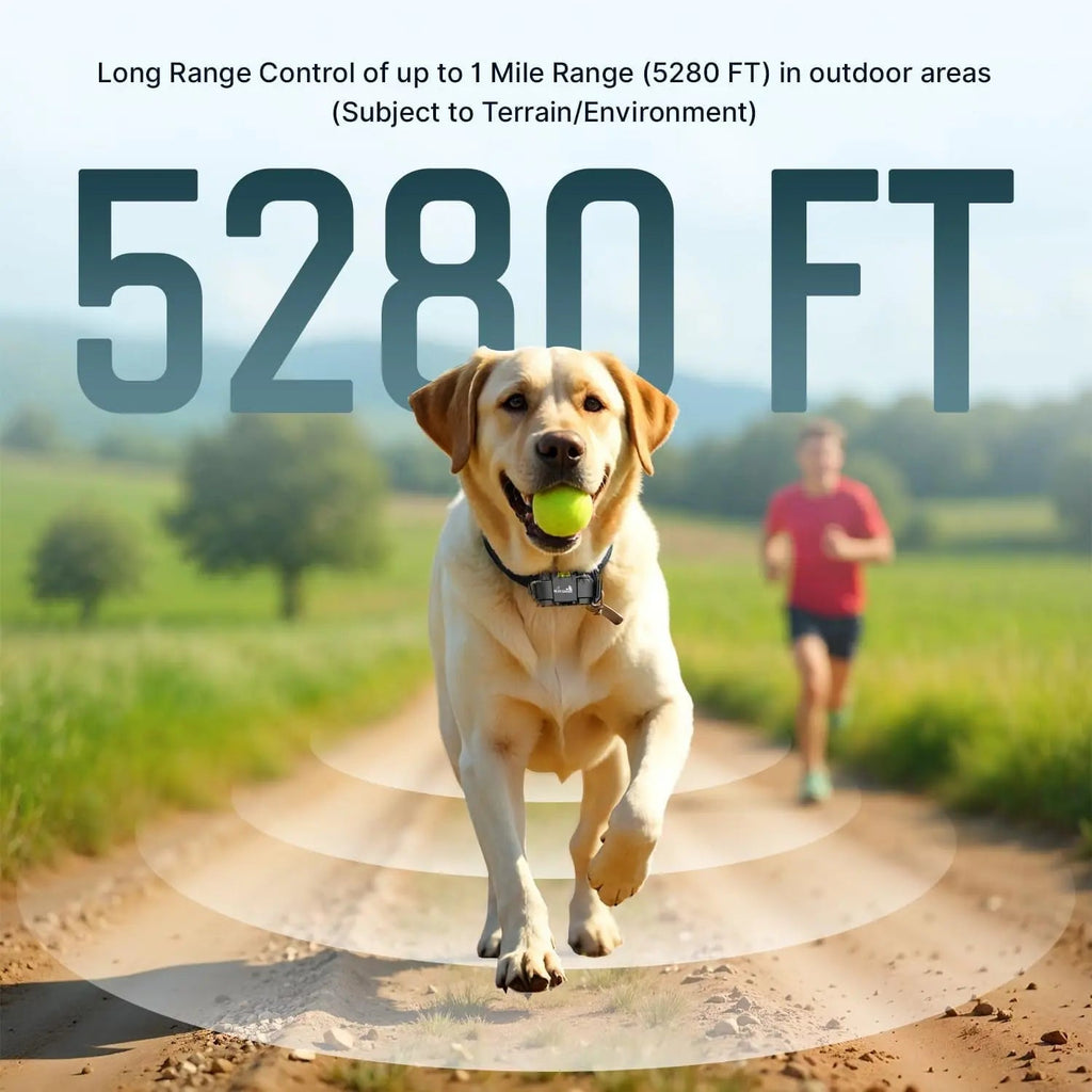 Waterproof Rechargeable Dog Training Collar – 1-Mile Range, 2-Dog System