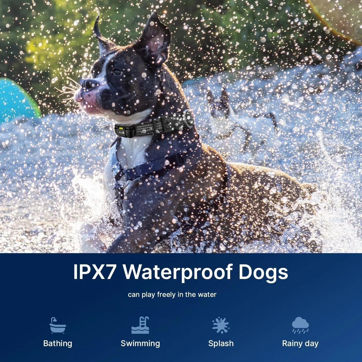 Waterproof Rechargeable Dog Training Collar – 1-Mile Range, 2-Dog System