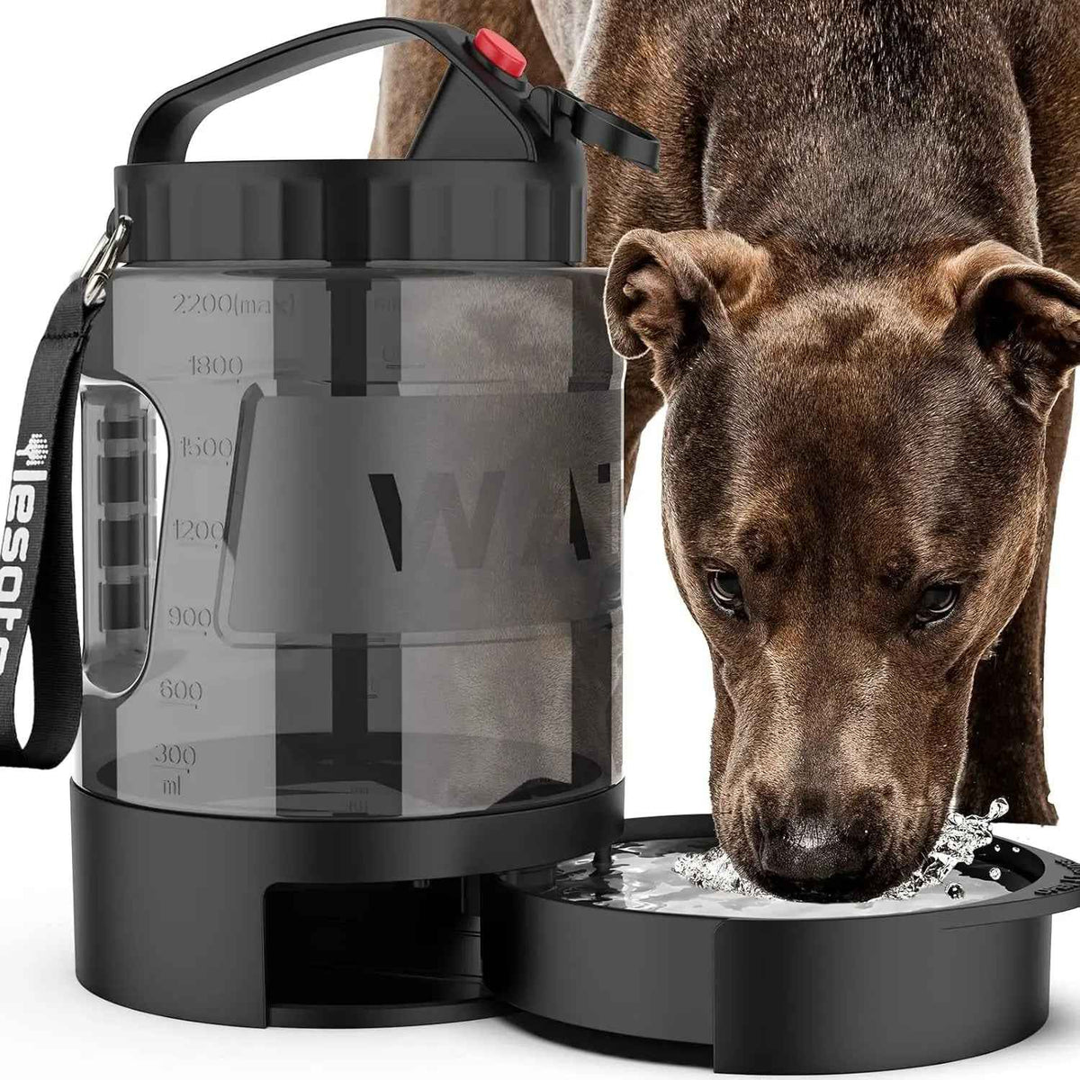 Portable Dog Travel Water Bottle with Bowl for Hiking