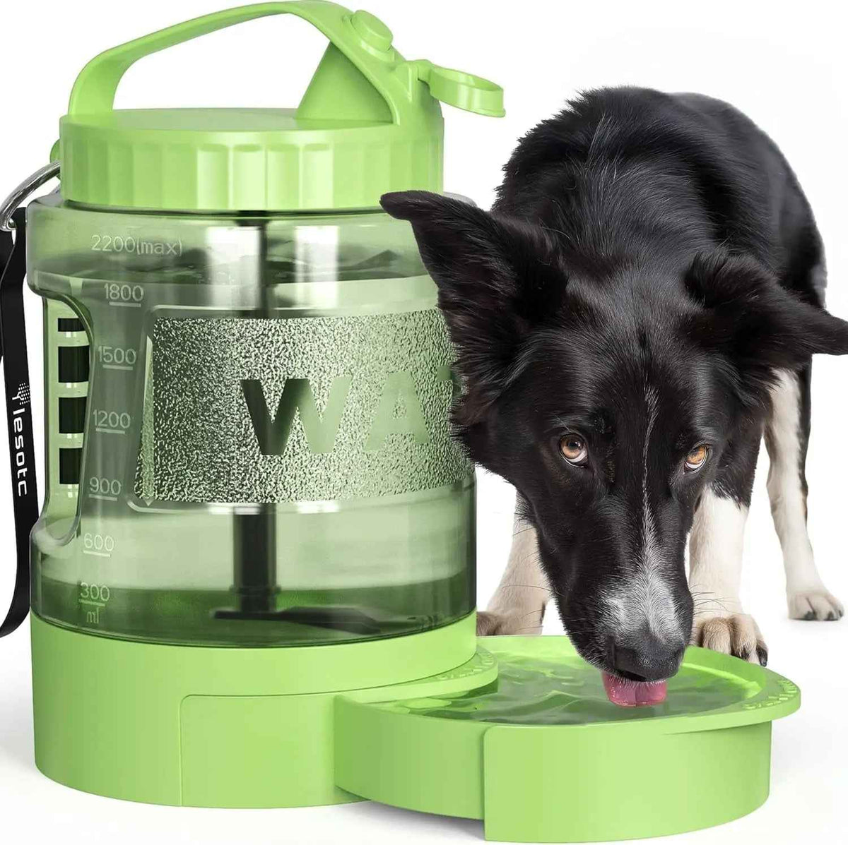 Portable Dog Travel Water Bottle with Bowl for Hiking