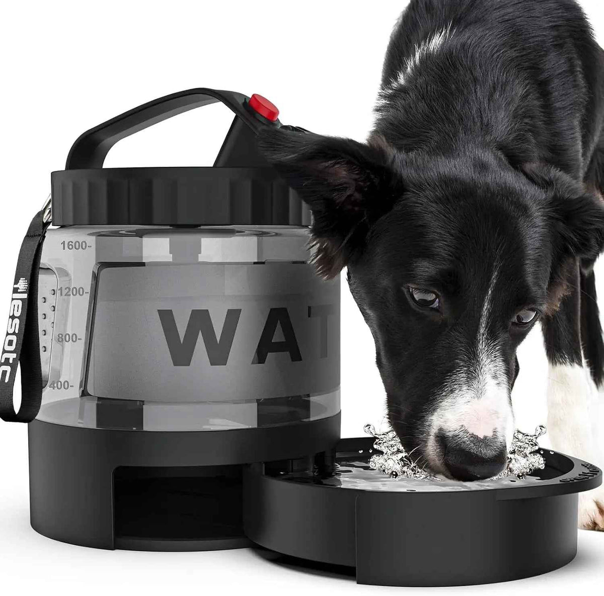 Portable Dog Travel Water Bottle with Bowl for Hiking