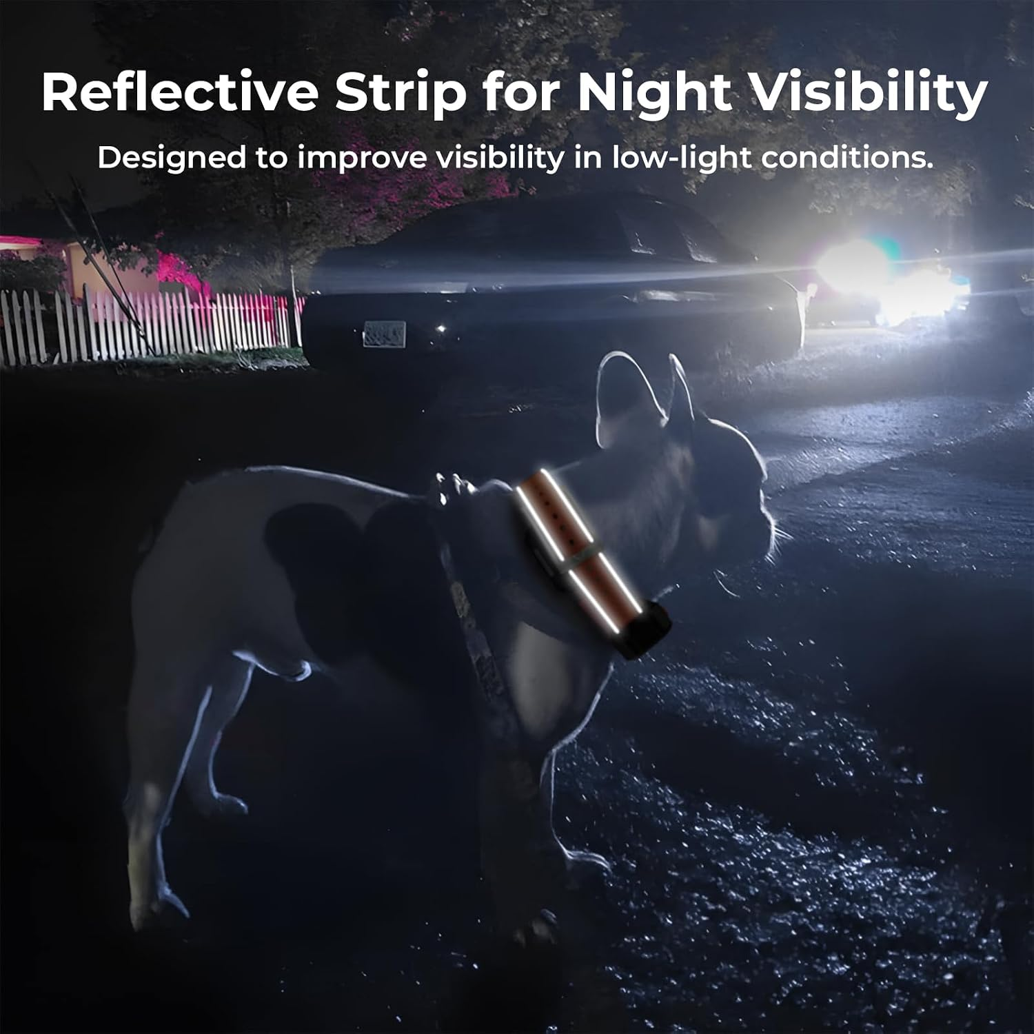 Dog GPS Tracker No Subscription, 3-Mile Range, Virtual Fence & IP67