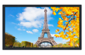 Professionally Framed Eiffel Tower Paris High-Resolution Panoramic Photo 12x22 Wall Art